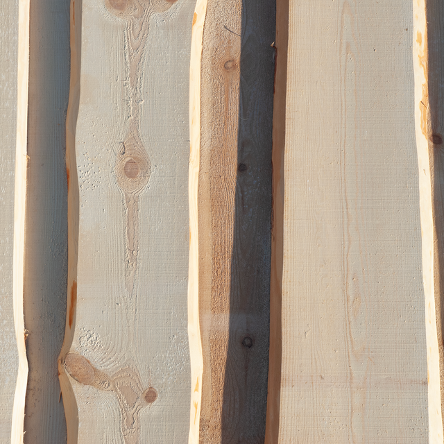 Media for Vildmarkspanel