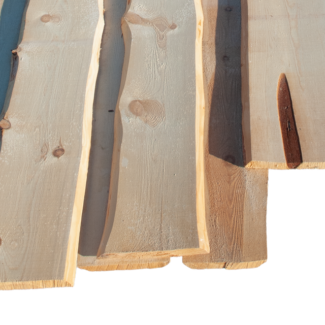 Media for Vildmarkspanel